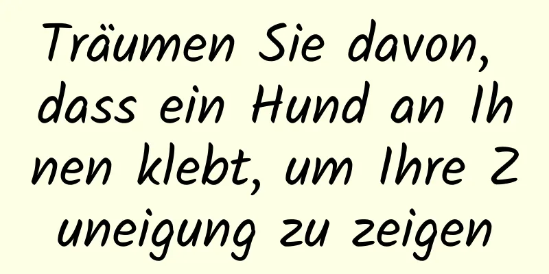 Träumen Sie davon, dass ein Hund an Ihnen klebt, um Ihre Zuneigung zu zeigen