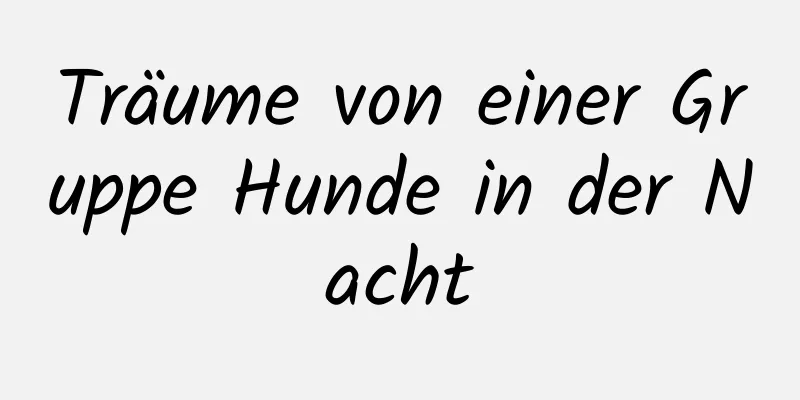 Träume von einer Gruppe Hunde in der Nacht