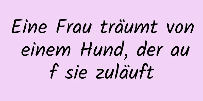 Eine Frau träumt von einem Hund, der auf sie zuläuft