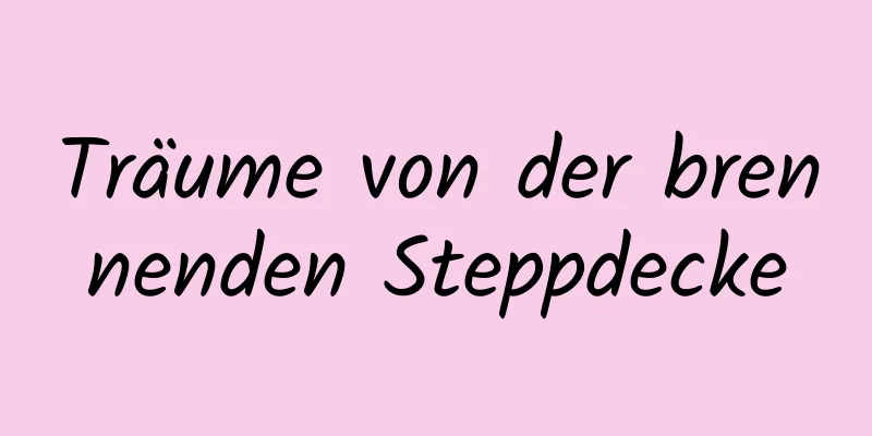 Träume von der brennenden Steppdecke