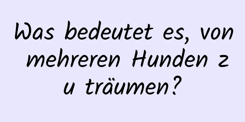 Was bedeutet es, von mehreren Hunden zu träumen?