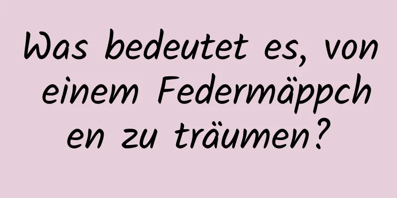 Was bedeutet es, von einem Federmäppchen zu träumen?