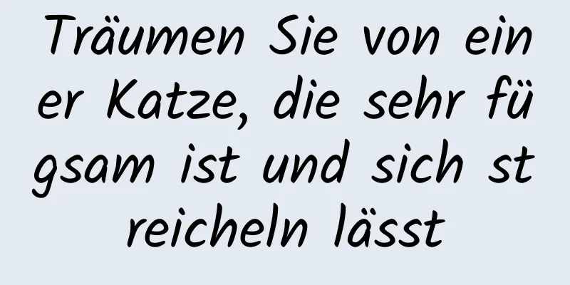 Träumen Sie von einer Katze, die sehr fügsam ist und sich streicheln lässt