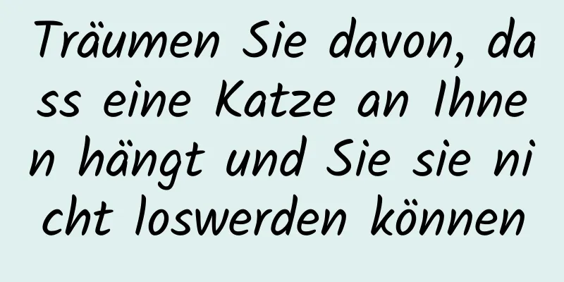 Träumen Sie davon, dass eine Katze an Ihnen hängt und Sie sie nicht loswerden können