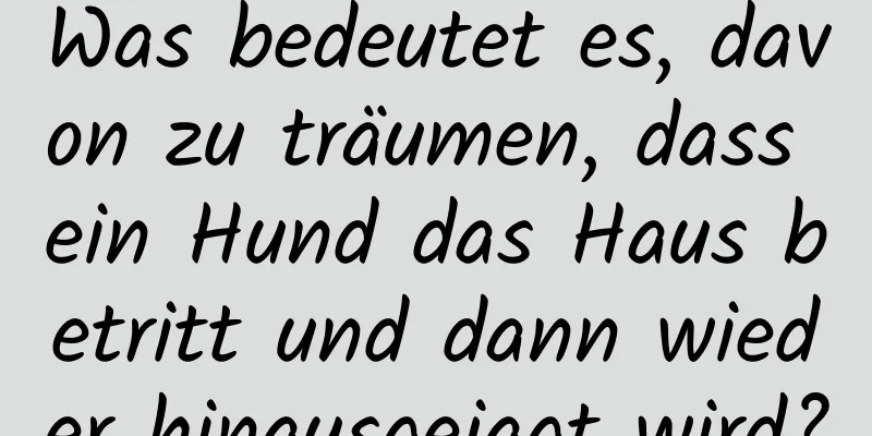 Was bedeutet es, davon zu träumen, dass ein Hund das Haus betritt und dann wieder hinausgejagt wird?