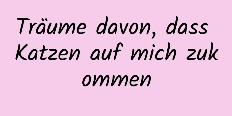 Träume davon, dass Katzen auf mich zukommen