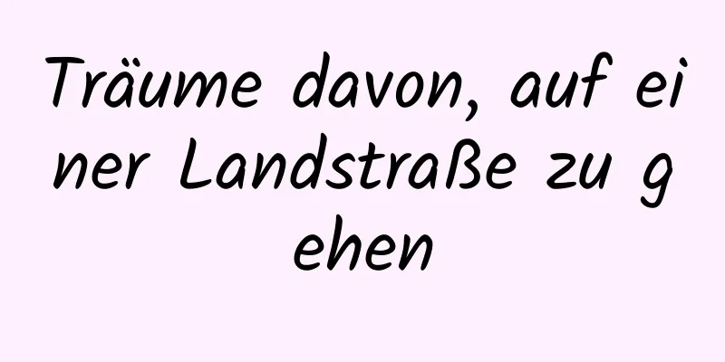 Träume davon, auf einer Landstraße zu gehen