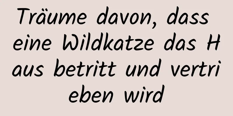 Träume davon, dass eine Wildkatze das Haus betritt und vertrieben wird