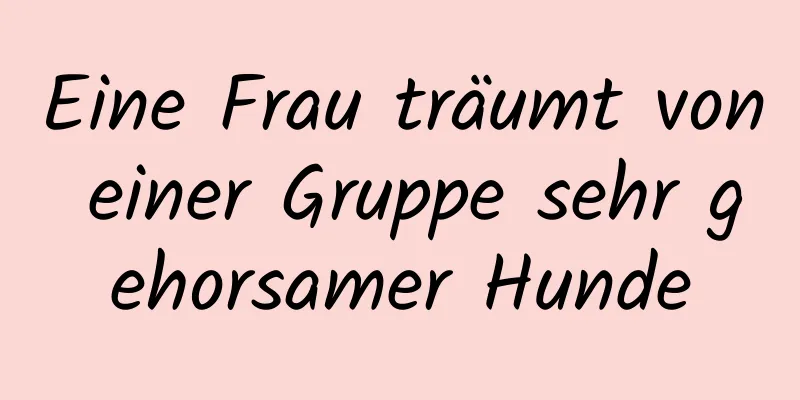 Eine Frau träumt von einer Gruppe sehr gehorsamer Hunde