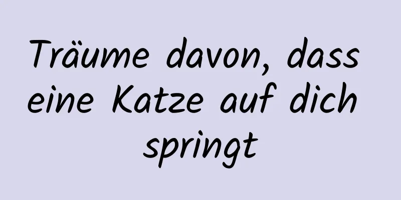 Träume davon, dass eine Katze auf dich springt