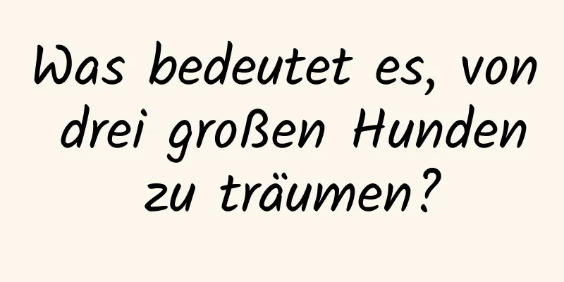 Was bedeutet es, von drei großen Hunden zu träumen?