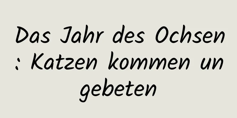 Das Jahr des Ochsen: Katzen kommen ungebeten