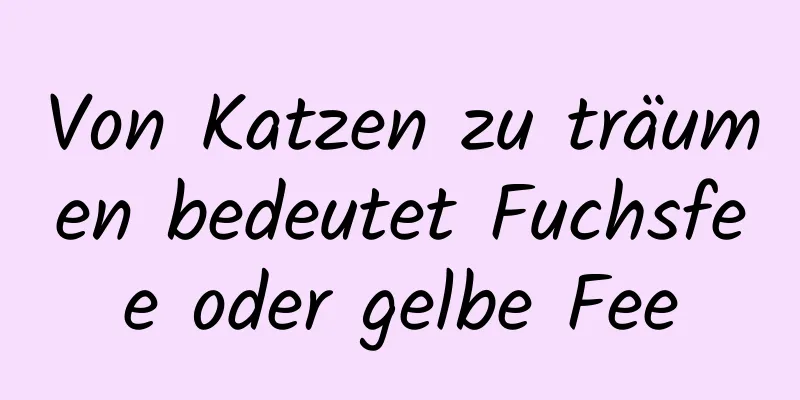 Von Katzen zu träumen bedeutet Fuchsfee oder gelbe Fee