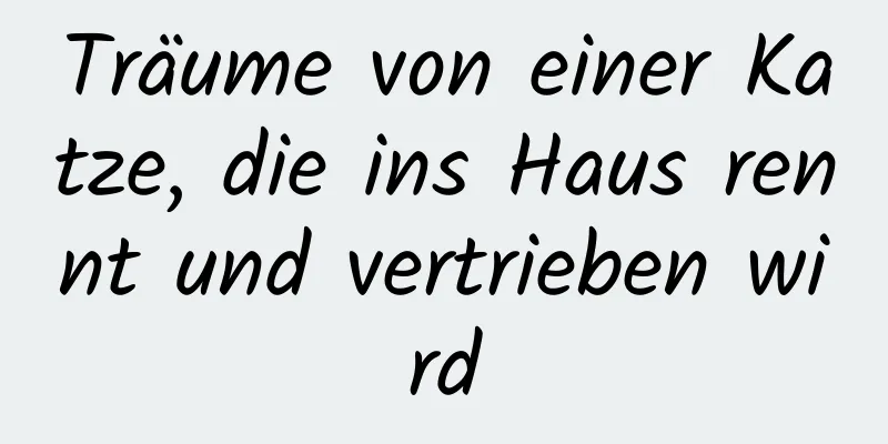 Träume von einer Katze, die ins Haus rennt und vertrieben wird