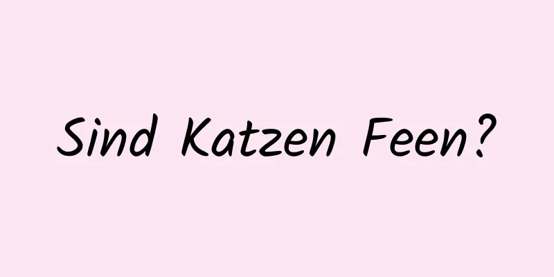 Sind Katzen Feen?