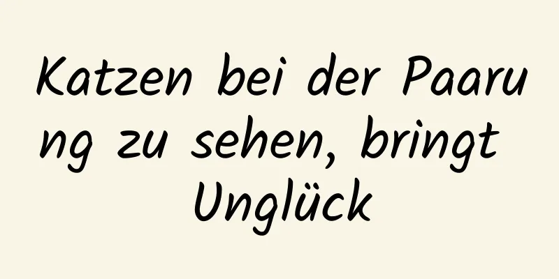 Katzen bei der Paarung zu sehen, bringt Unglück