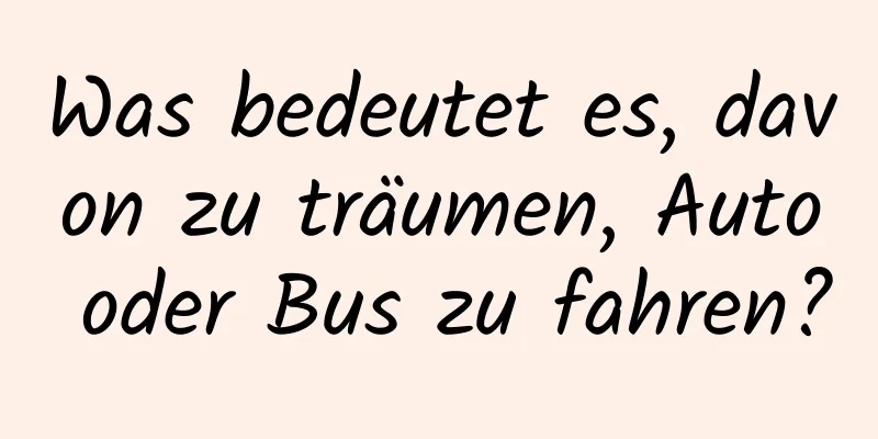 Was bedeutet es, davon zu träumen, Auto oder Bus zu fahren?