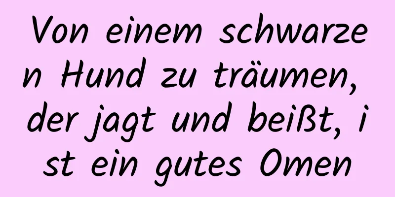 Von einem schwarzen Hund zu träumen, der jagt und beißt, ist ein gutes Omen