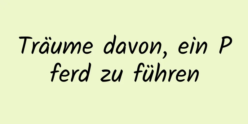 Träume davon, ein Pferd zu führen