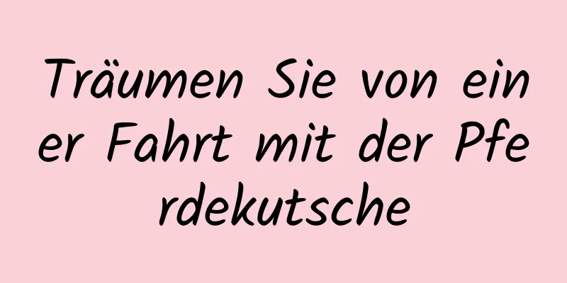 Träumen Sie von einer Fahrt mit der Pferdekutsche