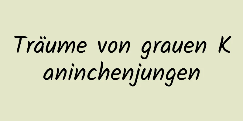 Träume von grauen Kaninchenjungen