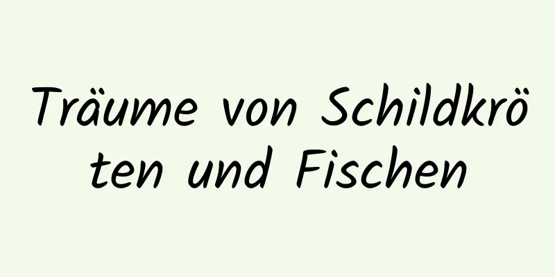 Träume von Schildkröten und Fischen