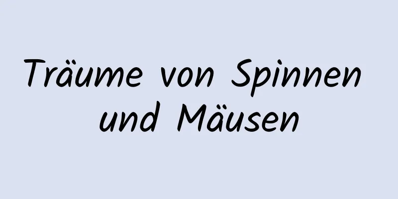 Träume von Spinnen und Mäusen