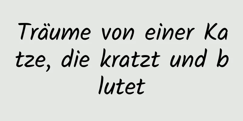 Träume von einer Katze, die kratzt und blutet