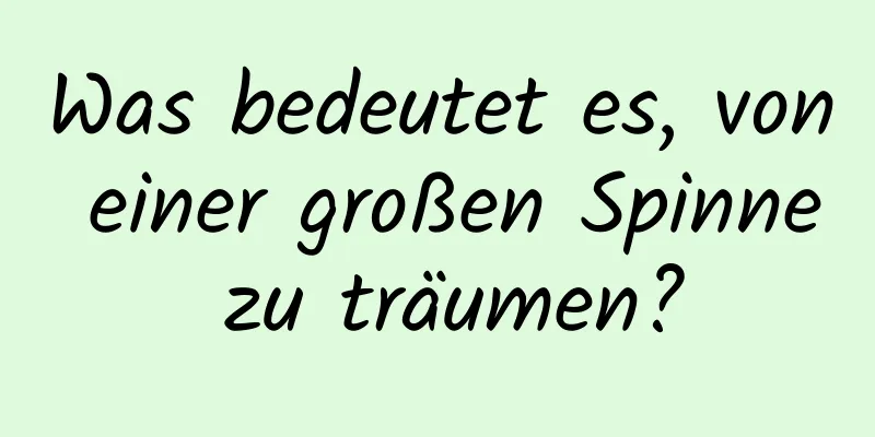 Was bedeutet es, von einer großen Spinne zu träumen?