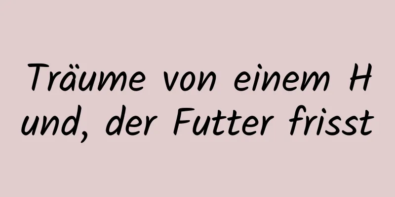 Träume von einem Hund, der Futter frisst