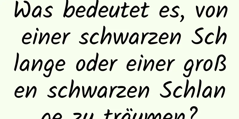 Was bedeutet es, von einer schwarzen Schlange oder einer großen schwarzen Schlange zu träumen?