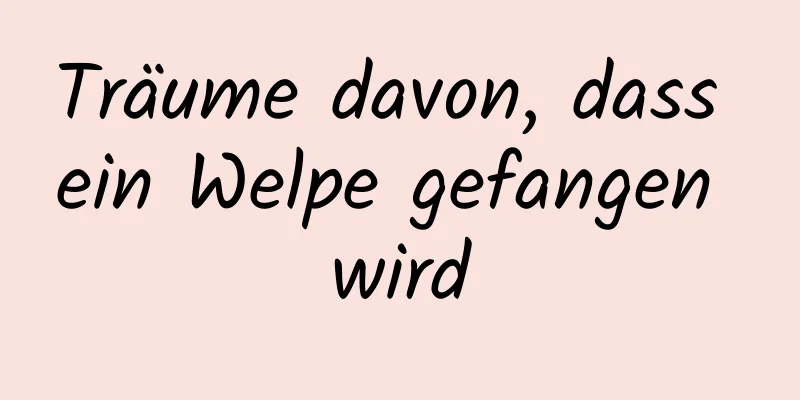 Träume davon, dass ein Welpe gefangen wird