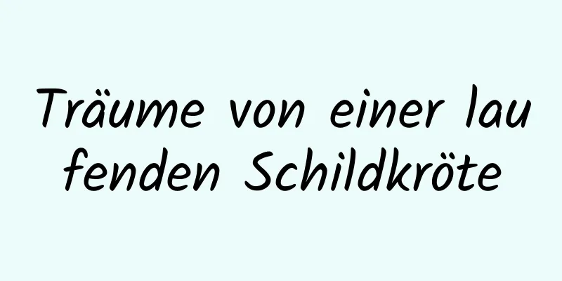 Träume von einer laufenden Schildkröte