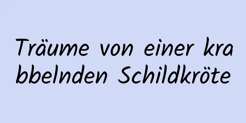 Träume von einer krabbelnden Schildkröte