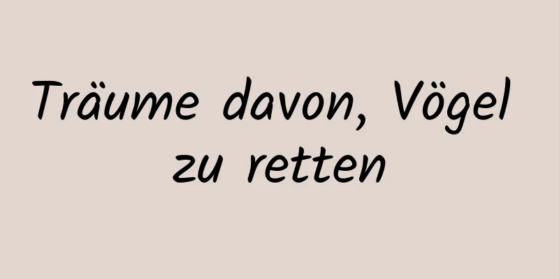 Träume davon, Vögel zu retten