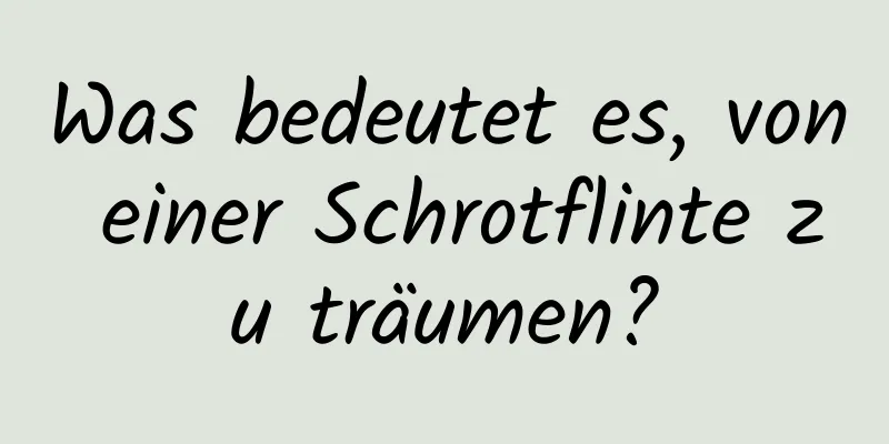 Was bedeutet es, von einer Schrotflinte zu träumen?