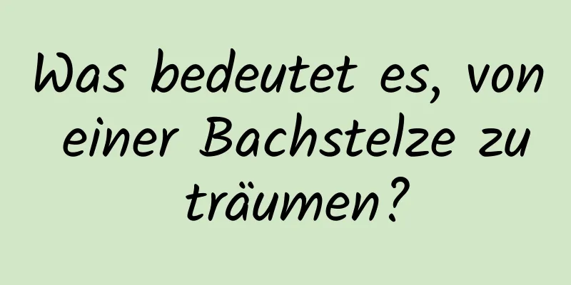 Was bedeutet es, von einer Bachstelze zu träumen?