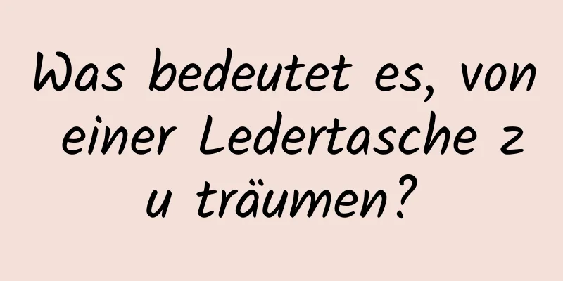 Was bedeutet es, von einer Ledertasche zu träumen?