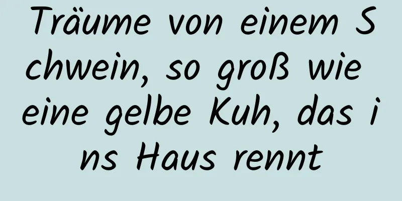 Träume von einem Schwein, so groß wie eine gelbe Kuh, das ins Haus rennt