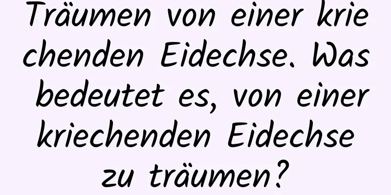 Träumen von einer kriechenden Eidechse. Was bedeutet es, von einer kriechenden Eidechse zu träumen?