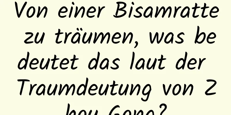 Von einer Bisamratte zu träumen, was bedeutet das laut der Traumdeutung von Zhou Gong?