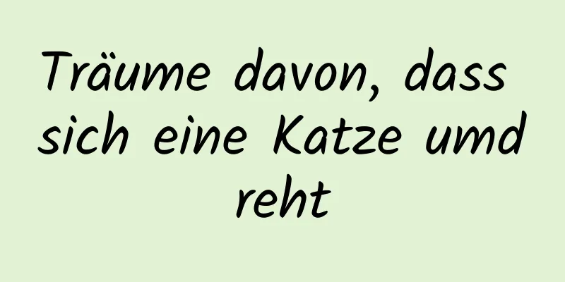 Träume davon, dass sich eine Katze umdreht