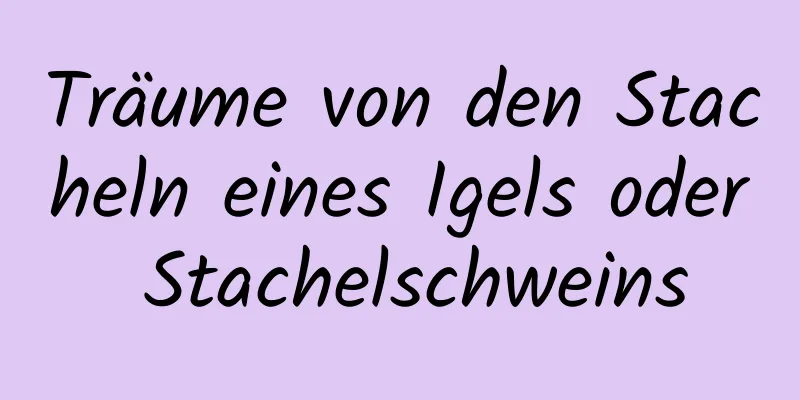 Träume von den Stacheln eines Igels oder Stachelschweins