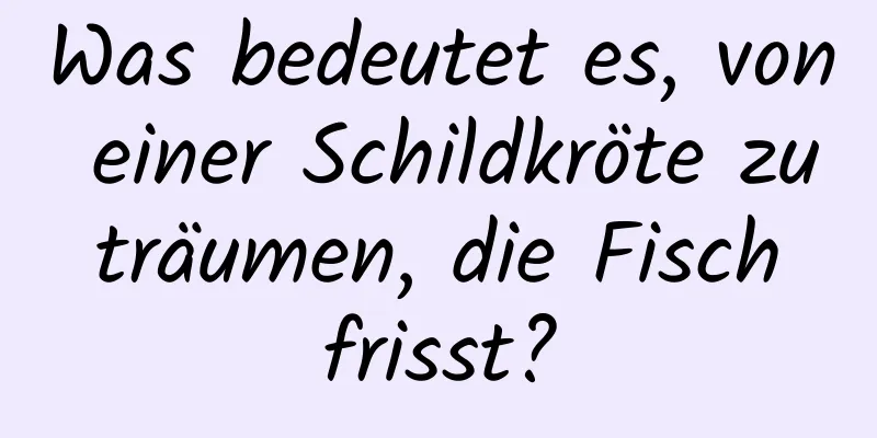 Was bedeutet es, von einer Schildkröte zu träumen, die Fisch frisst?