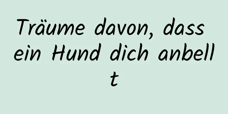 Träume davon, dass ein Hund dich anbellt