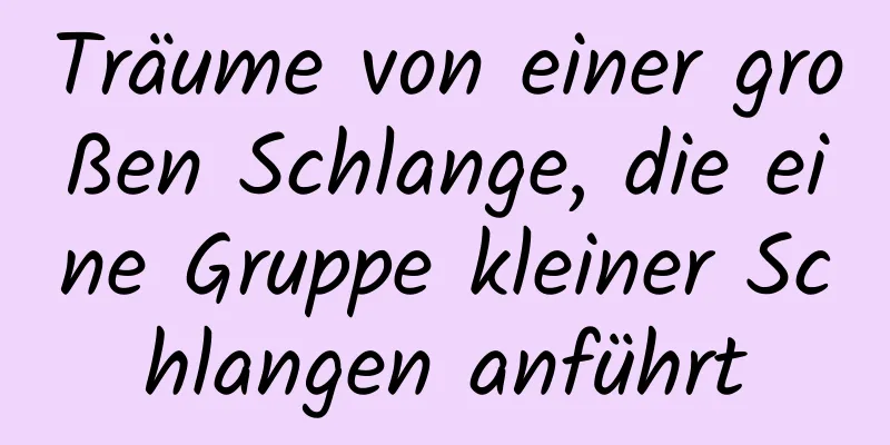 Träume von einer großen Schlange, die eine Gruppe kleiner Schlangen anführt