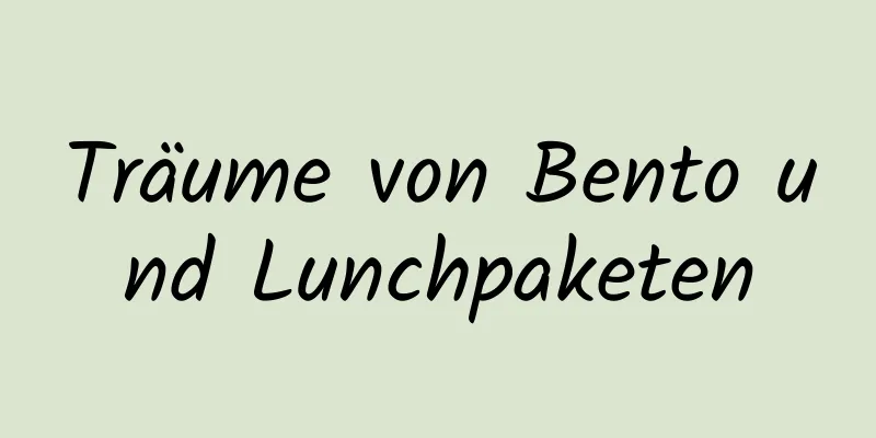 Träume von Bento und Lunchpaketen