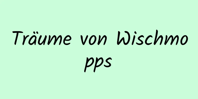 Träume von Wischmopps