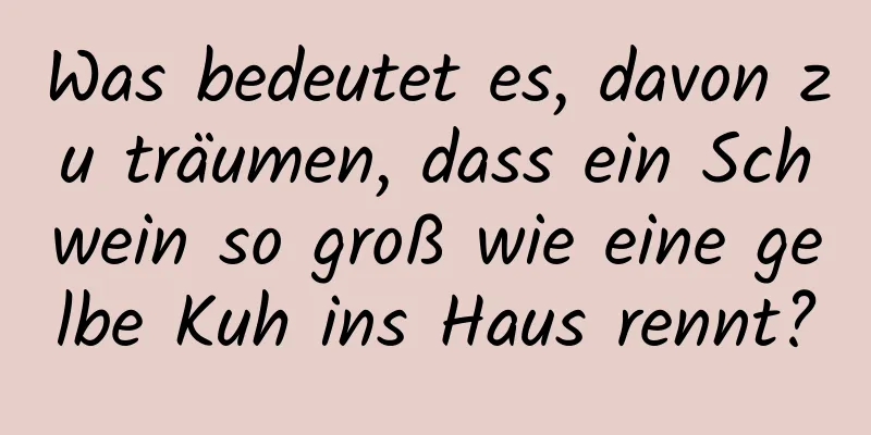 Was bedeutet es, davon zu träumen, dass ein Schwein so groß wie eine gelbe Kuh ins Haus rennt?