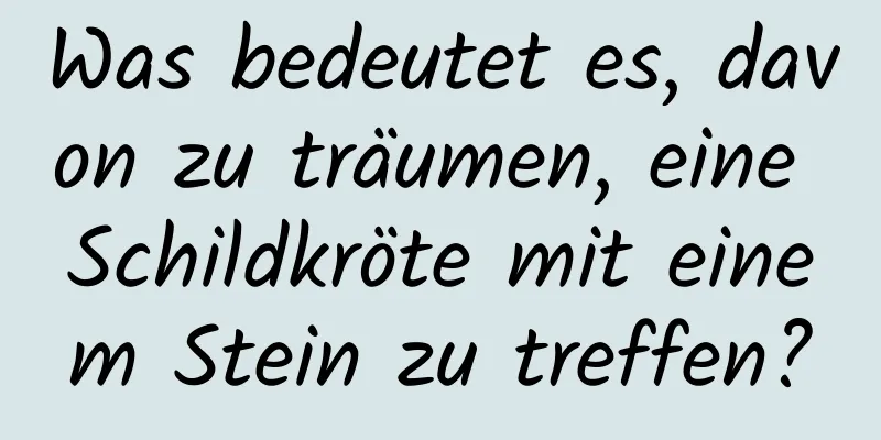 Was bedeutet es, davon zu träumen, eine Schildkröte mit einem Stein zu treffen?